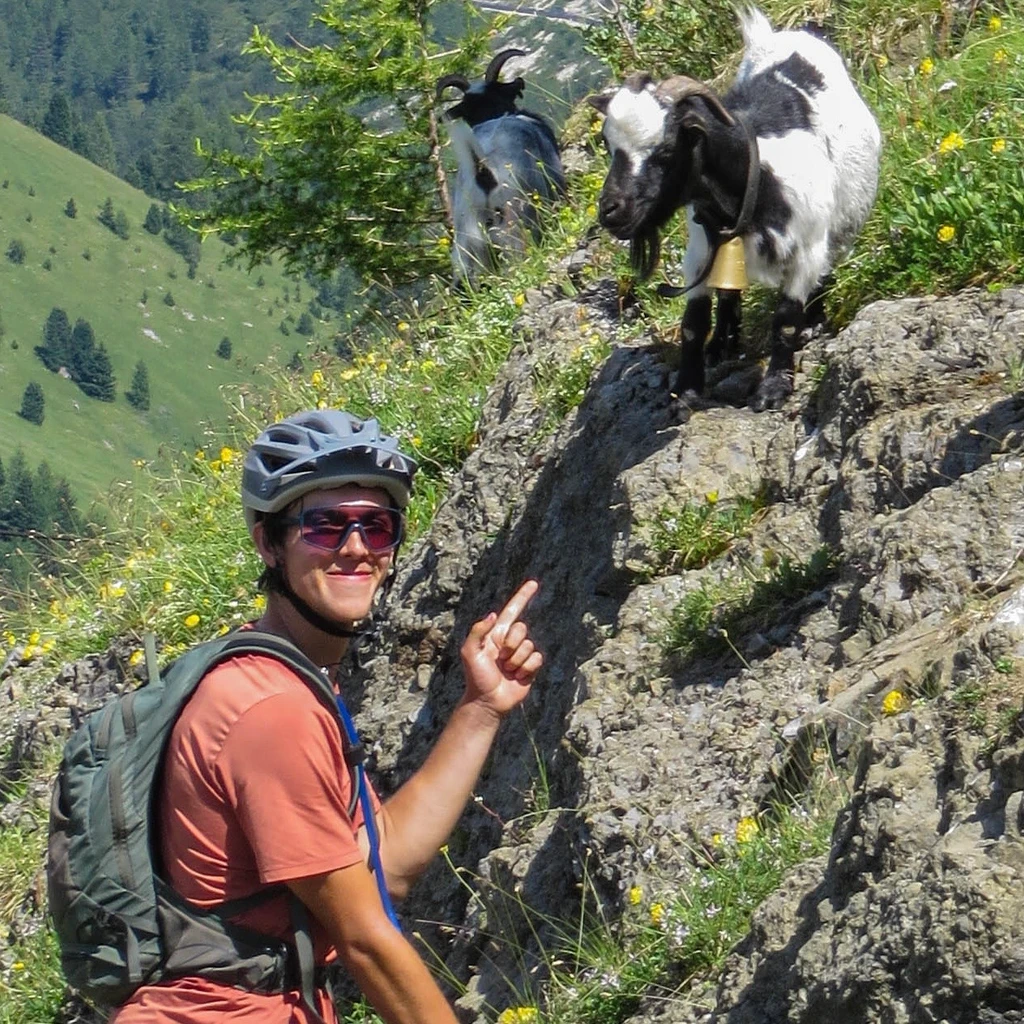 Max pointing at goats on a mountain trail